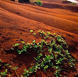 《消逝的光芒2》出现《生化危机》系列人物彩蛋