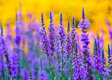 外媒DOSG评年度最佳游戏 《仁王2》、《双人成行》等